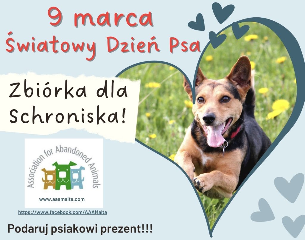 Światowy Dzień Psa 🐕 – Zbiórka na rzecz schroniska dla psów